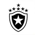 Botafogo RJ (Youth)
